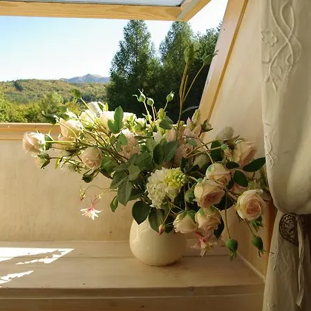 Bed and breakfast Maison D'hotes L'arnica 3*