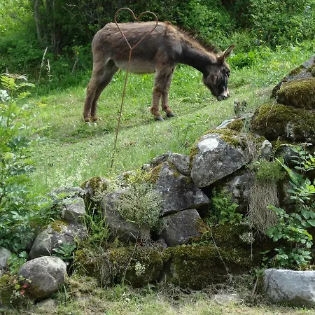 L'arnica Bed & Breakfast La Breole